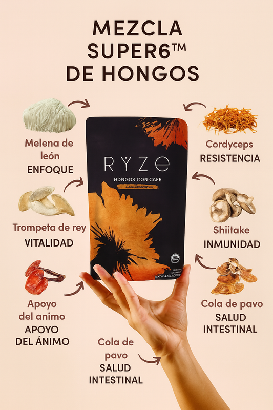RYZE Coffee + Té Matcha Premium | Energía Sostenida, Enfoque y Bienestar